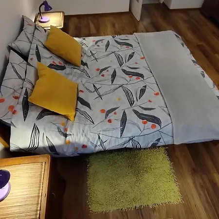 Wygodne Mieszkanie Stare Miasto *